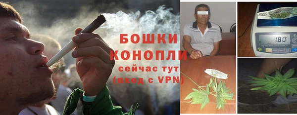эйфоретик Дмитров