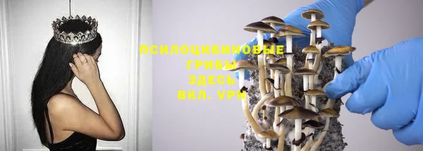 эйфоретик Дмитров