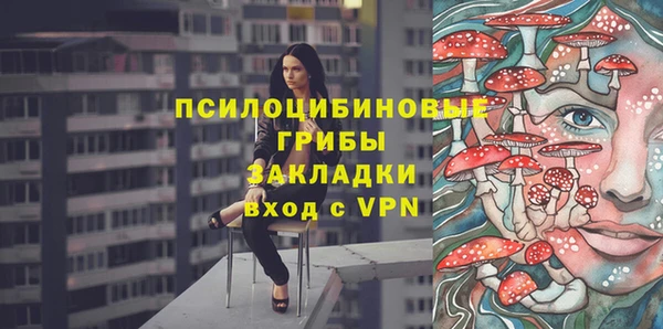 эйфоретик Дмитров