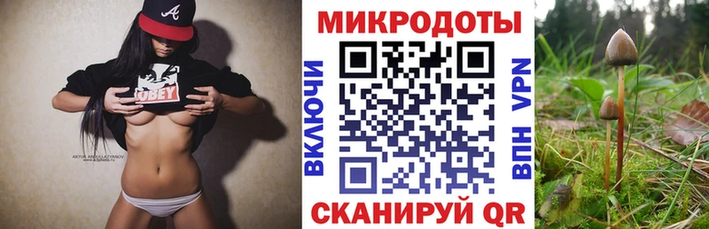 Купить закладки  Карабулак  Галлюциногенные грибы MAGIC MUSHROOMS 