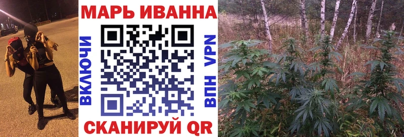 Купить Карабулак Канабис сатива